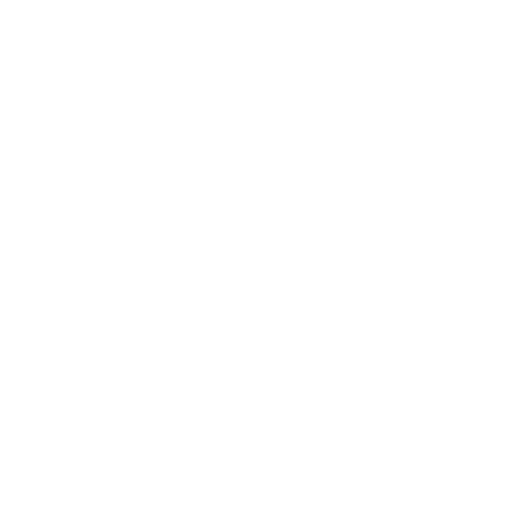 Icon Security and worldwide flexibility for Less than Container Load LCL shipments.