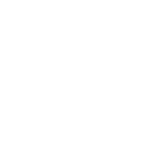 A scale as a symbol for legal certainty and justice in the context of customs inspection.
