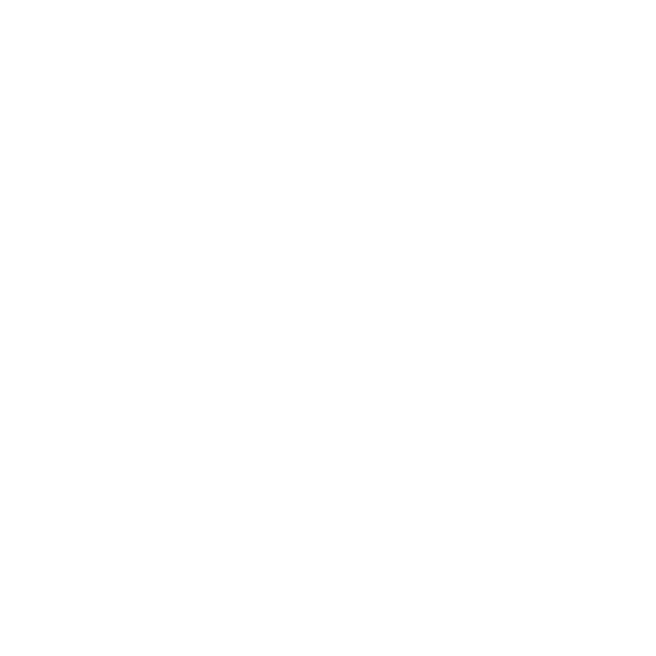 A hand holding a shield with a checkmark, symbolizing security and proof of insurance for customs inspection.