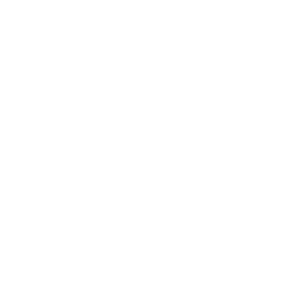 Dokument mit Pluszeichen – Symbol für flexible Zusatzservices rund um Ihren Umzug.