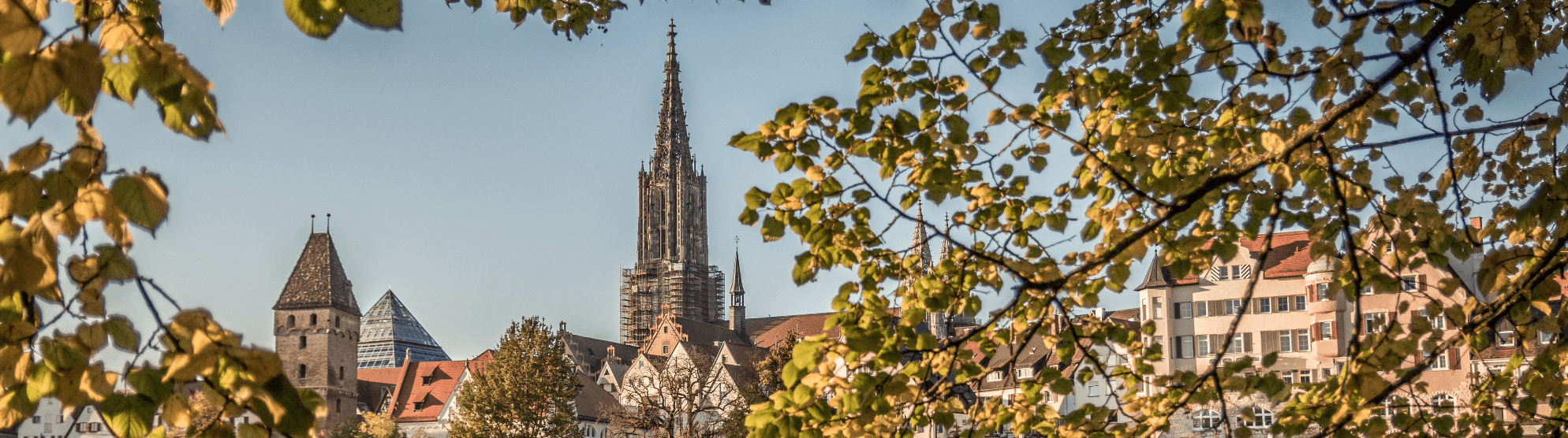 DACHSER & KOLB: Umzugsunternehmen in Ulm