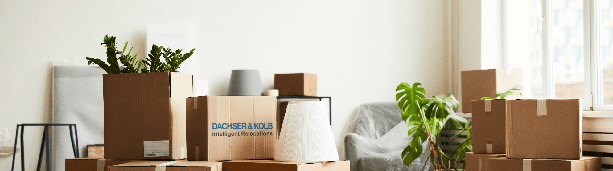 Moving boxes in empty apartment symbolizing the end of tenancy after canceling the apartment lease