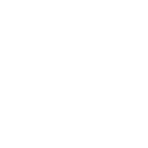 DACHSER & KOLB: Surface Area