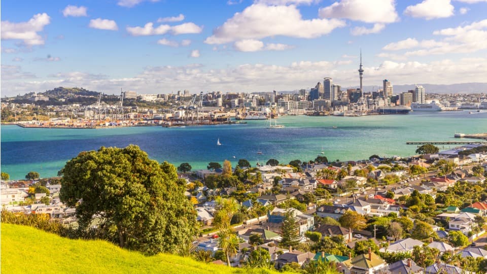 Panorama der Skyline von Auckland mit dem Hafen für Seefracht-Container, ausgewählt von DACHSER & KOLB für den reibungslosen Übersee-Umzug nach Neuseeland.