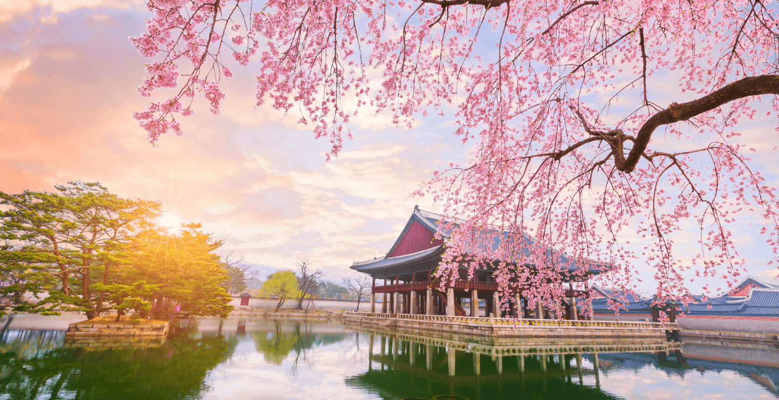 Traditioneller Palast in Südkorea am See mit Kirschblüten bei Sonnenaufgang