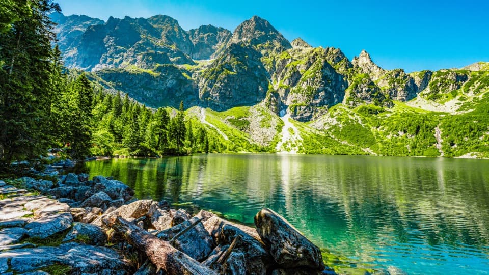 Gebirgssee in der Hohen Tatra im Sommer in der Slowakei