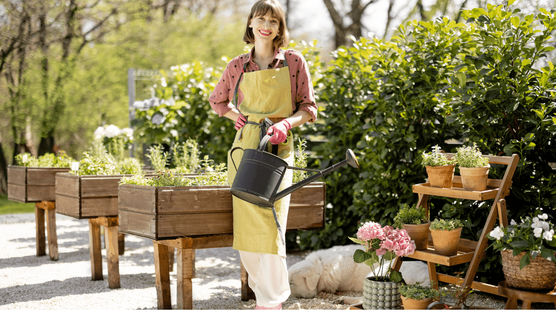 Woman watering raised bed garden – garden and landscape design after a move.