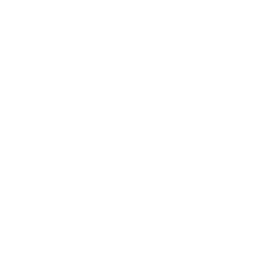 DACHSER & KOLB: Continent