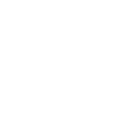 DACHSER & KOLB: Population