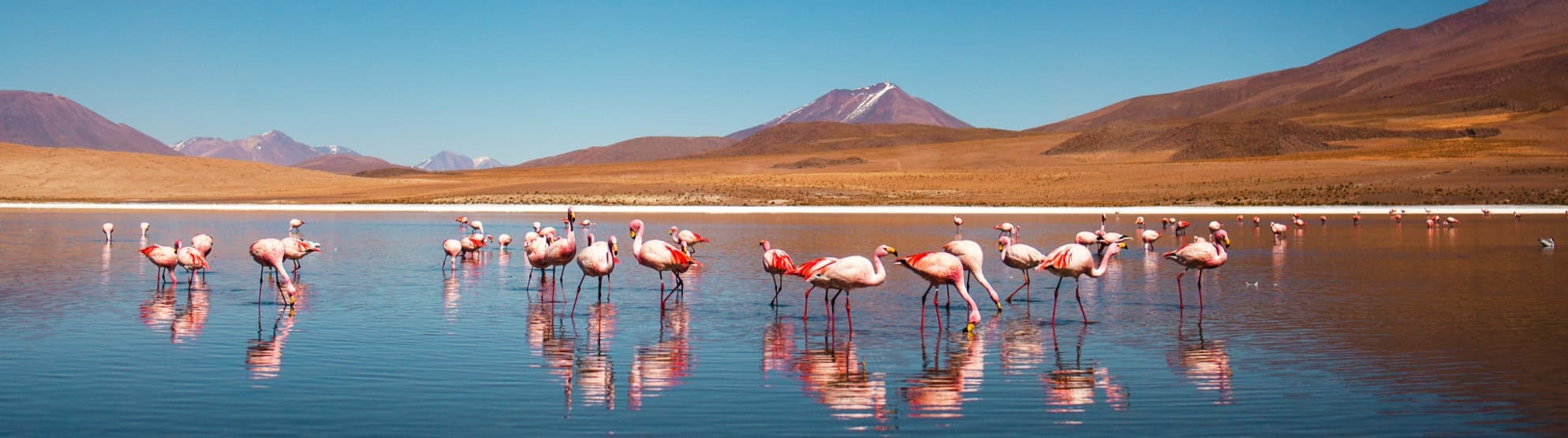 Emigrate to Bolivia