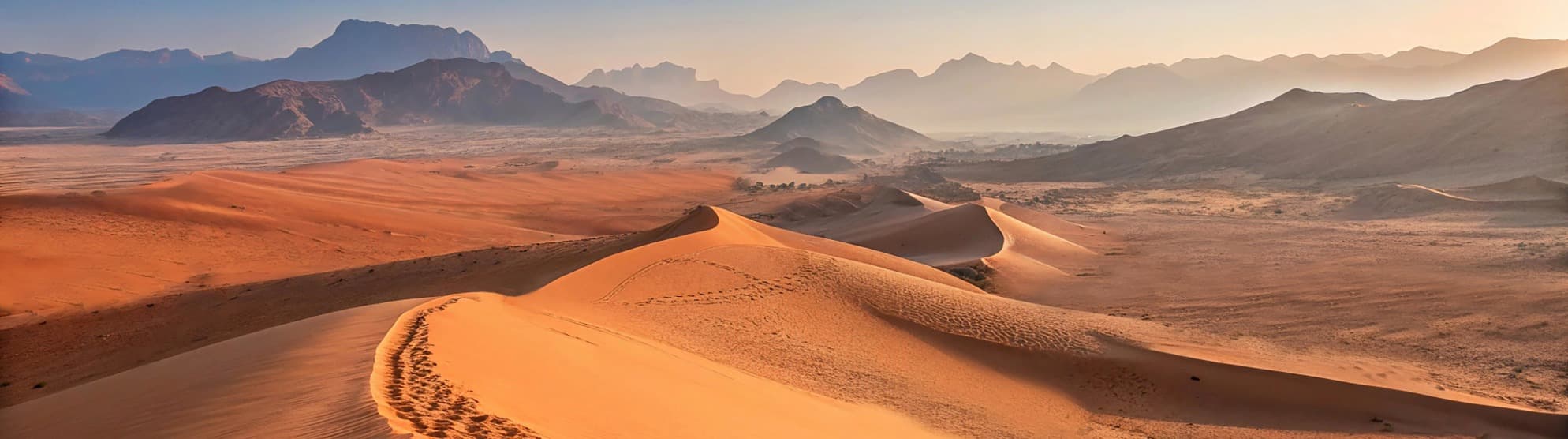 Emigrate to the United Arab Emirates (UAE)