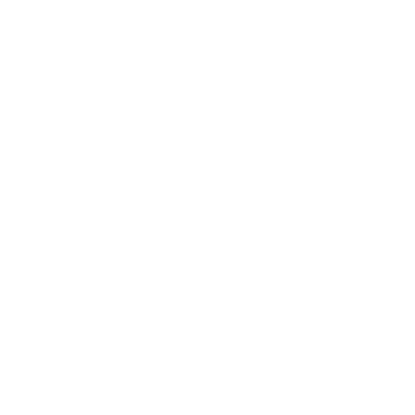 Eine Person mit drei Sternen, symbolisiert das kompetente und qualifizierte Fachpersonal in der Möbellogistik.