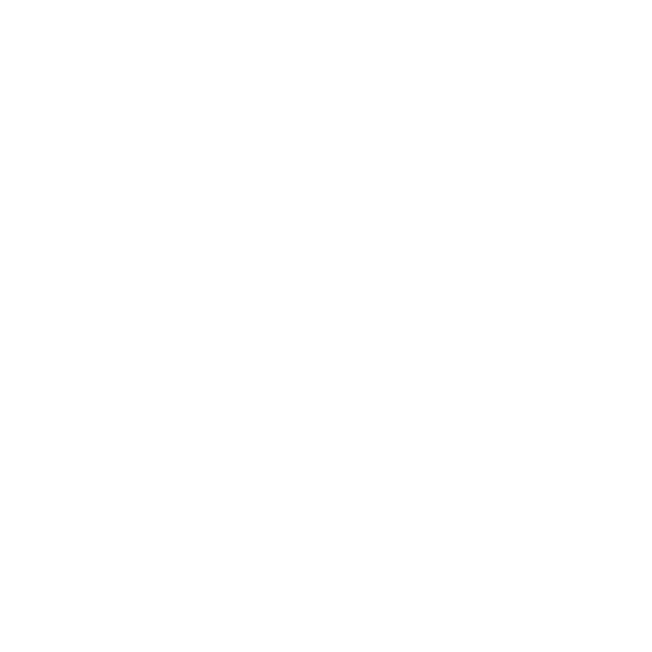 An icon depicting a money bag with a euro sign and coin stacks, symbolizing fair pricing and cost calculation through volumetric weight.