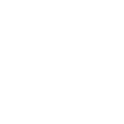 Icon eines Schutzschilds mit Haken – Symbol für höchste Sicherheit