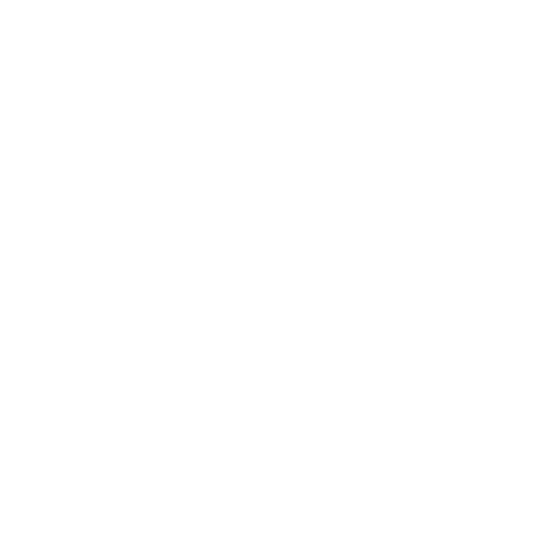 Optimal utilization of air, sea and road transport with airplane, ship and truck