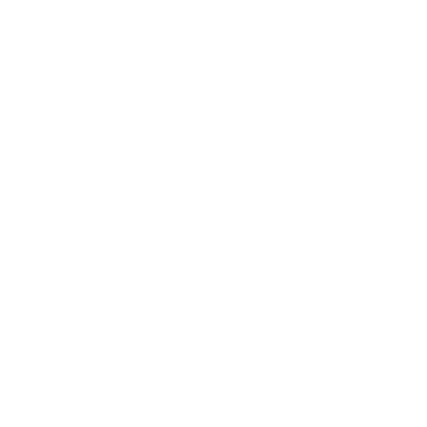 Passenger car icon for the passenger car category