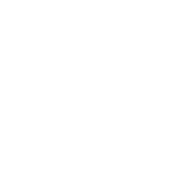 Veterinarian icon for pet health requirements when moving to Norway