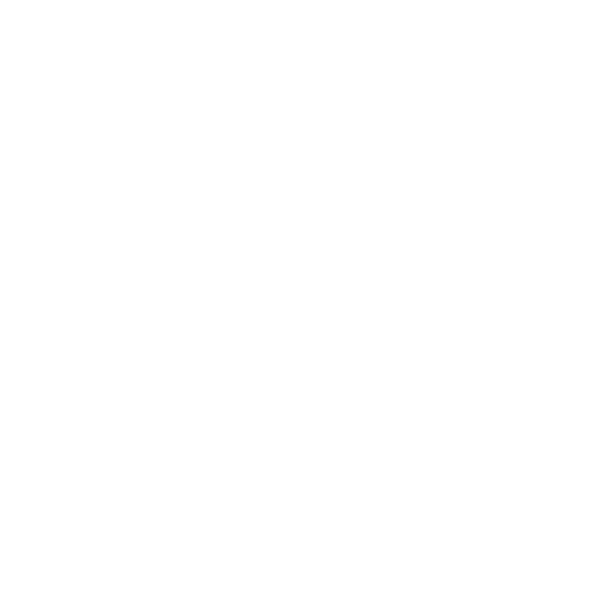 Container ship icon with shield – comprehensive coverage in case of major damage during removal.