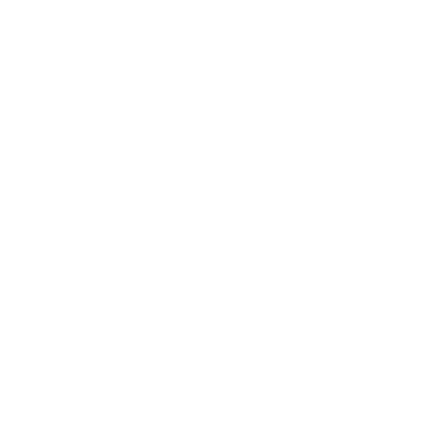 Icon of a briefcase – symbol for professional requirements when applying for a U.S. relocation visa.