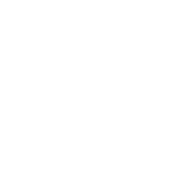 Pistolen-Symbol als Hinweis auf verbotene Waffen beim Zoll für den Thailand-Umzug.