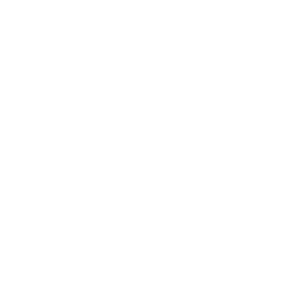 Symbol eines Fleischstücks – Hinweis auf zollrelevante Lebensmittel beim USA-Umzug.
