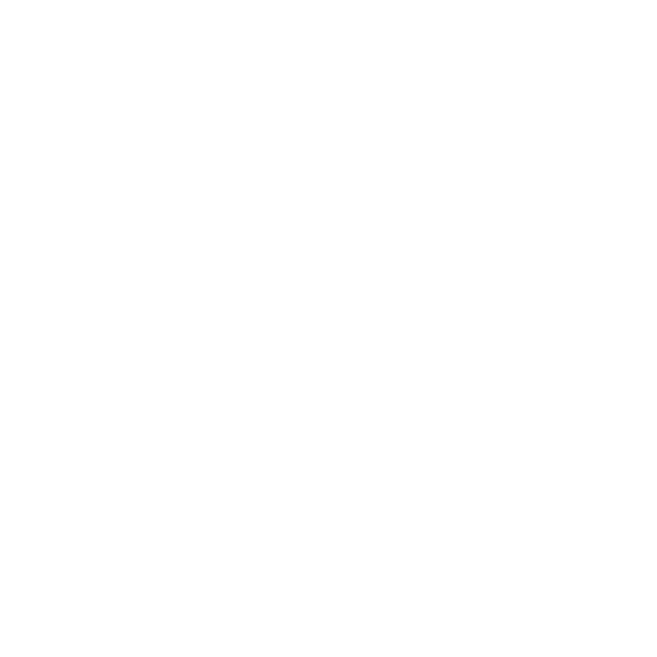 Pfoten-Symbol als Hinweis auf tierbezogene Zollbestimmungen beim USA-Umzug.