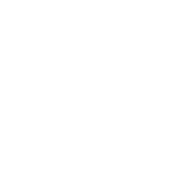 Padlock with check mark symbolizing secure customs procedures