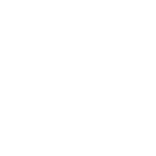 Icon of a shield with a checkmark – reliability and security