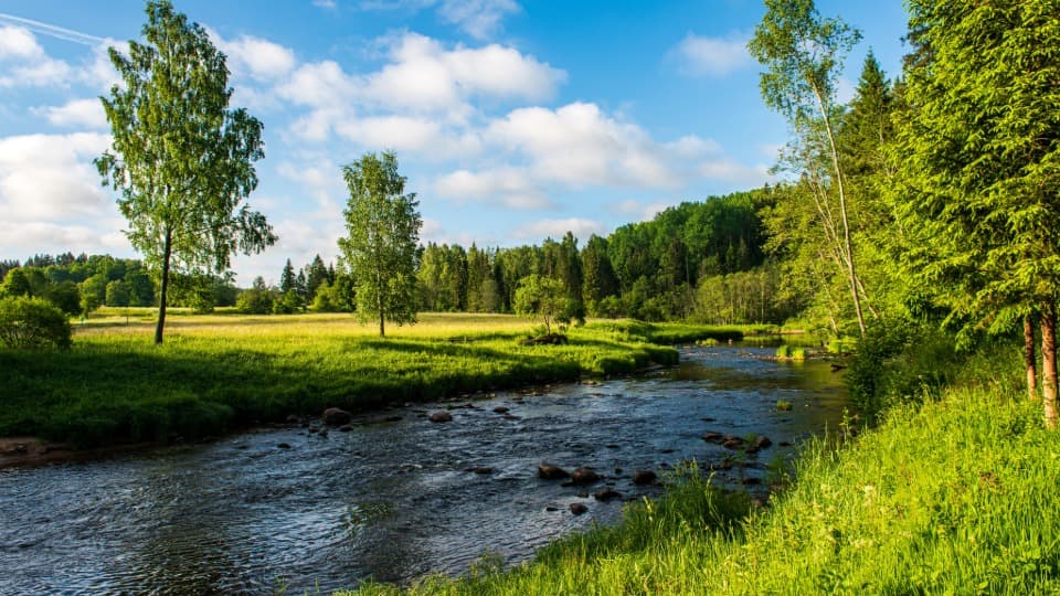 Sommerliche Flusslandschaft an der Amata in Lettland – Sinnbild für das warme Klima und die ausgeprägten Jahreszeiten im Baltikum.