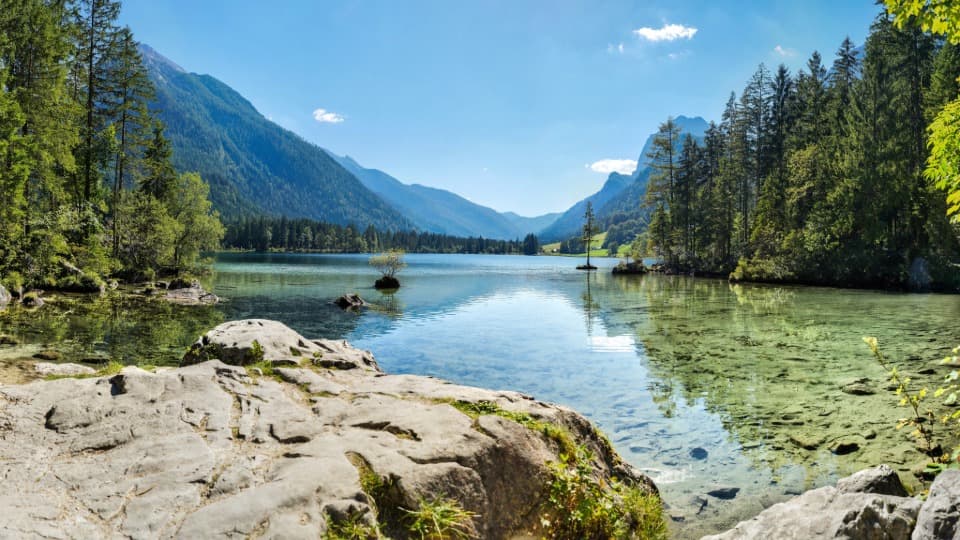 Clear waters in Norway, surrounded by forests, with mountains in the background