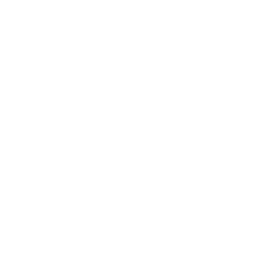DACHSER & KOLB: Official Language