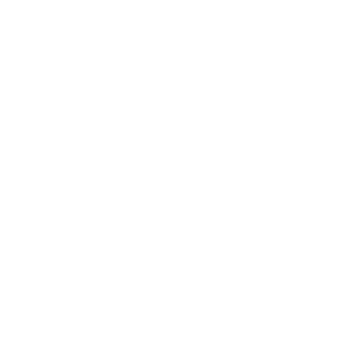 DACHSER & KOLB: Continent