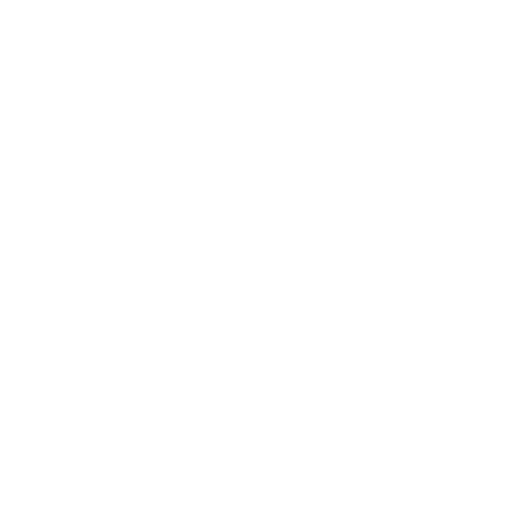 DACHSER & KOLB: Continent