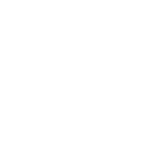 DACHSER & KOLB: Continent
