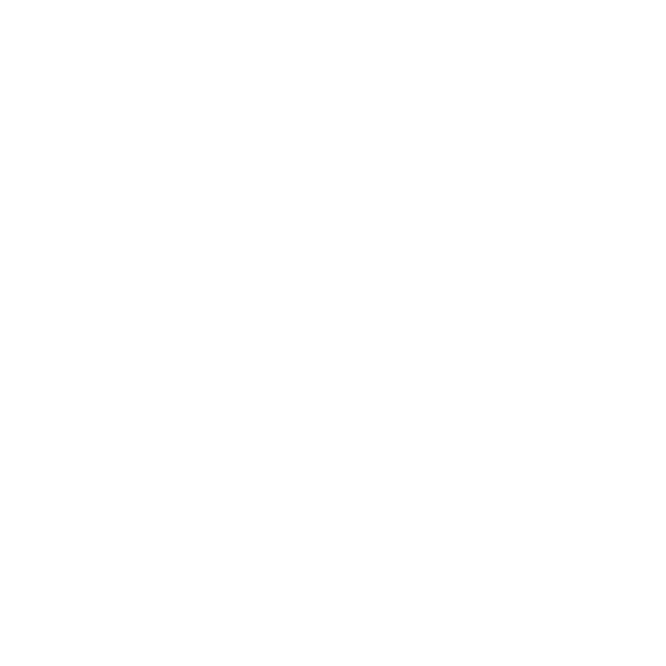 Airplane as a symbol of air freight to India