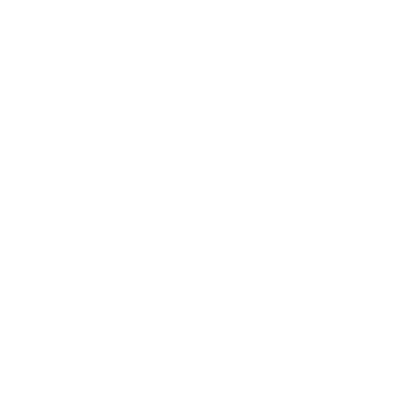 Route und Transitländer im Carnet-TIR-Verfahren beim internationalen Umzug