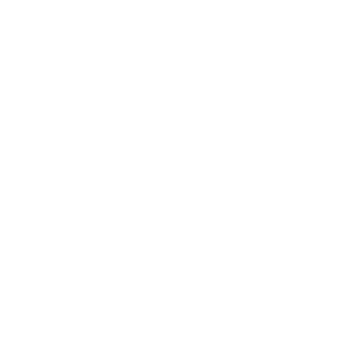 Globe with shield – icon for worldwide validity and protection in case of removal damage.