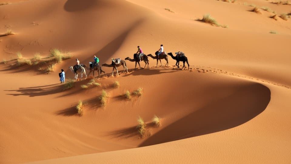Geführte Kamel-Tour durch die Wüste Sahara in Tunesien - Sicherheit in Tunesien