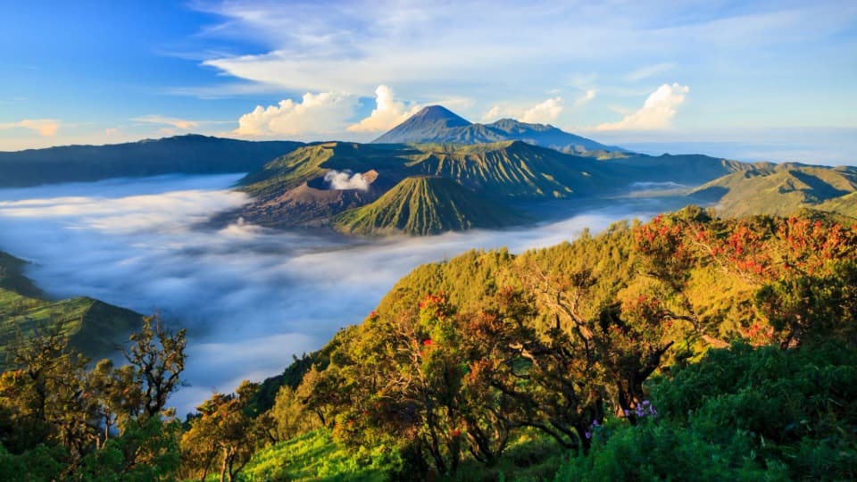 Auswandern nach Indonesien: Sicherheit