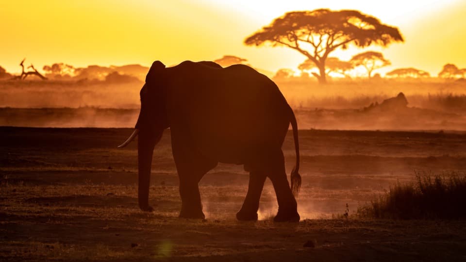 Auswandern nach Kenia: Sicherheit
