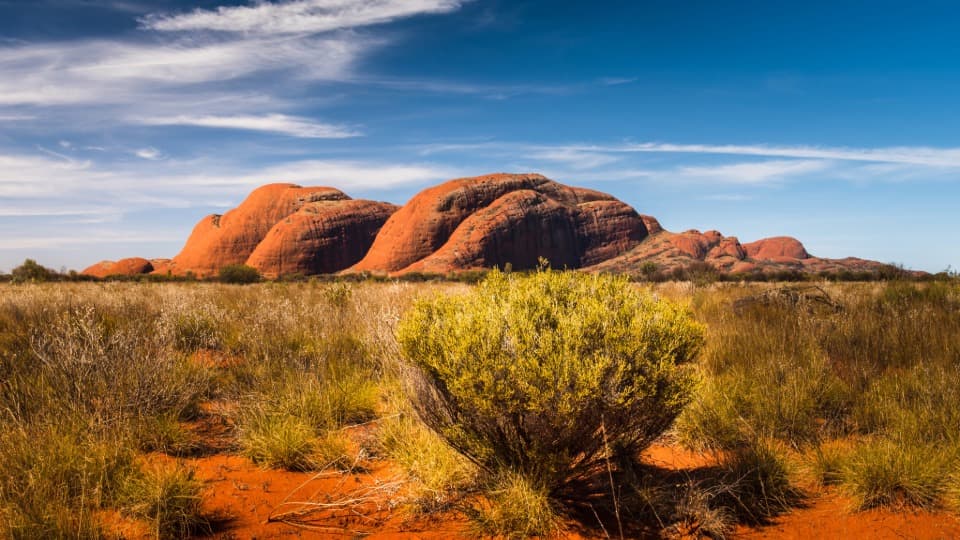 Landschaft in Australien im Outback
