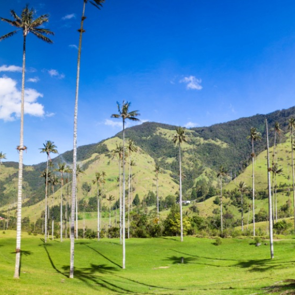 Emigrate to Colombia