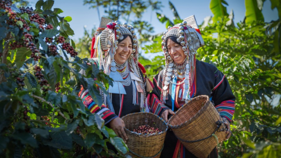 Two Colombian women in traditional dress pick coffee beans together.