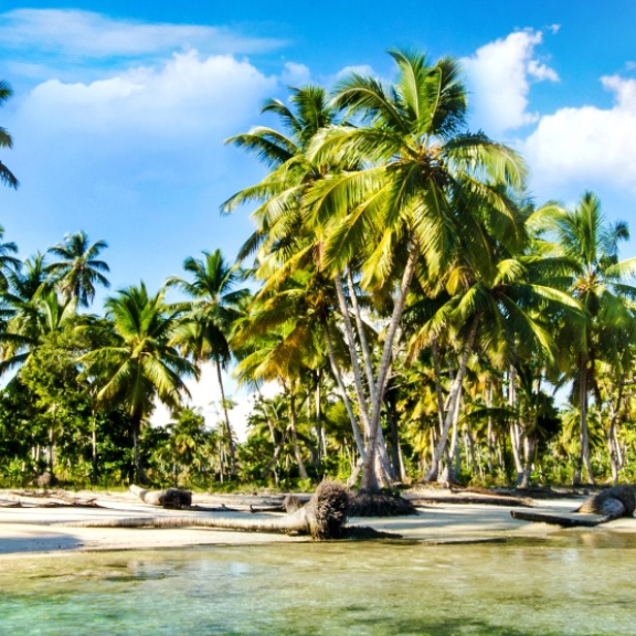 Emigrate to the Dominican Republic