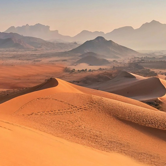 Emigrate to the United Arab Emirates (UAE)