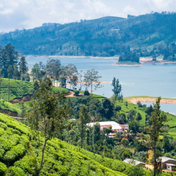 Emigrate to Sri Lanka