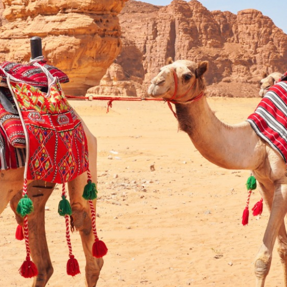 Emigrate to Saudi Arabia