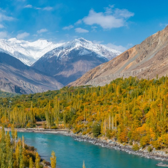 Emigrate to Pakistan