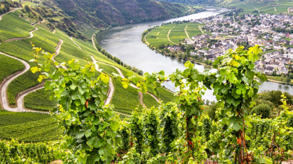 Blick auf die Moselschleife und Weinberge – Beispiel für die regionale Vielfalt und die starke kulturelle Infrastruktur in Deutschland.