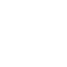 Icon for Advance NOC for pet relocation to India